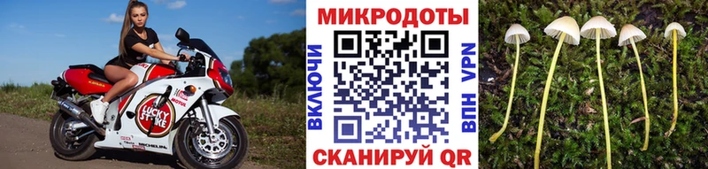 Галлюциногенные грибы Cubensis  Партизанск 